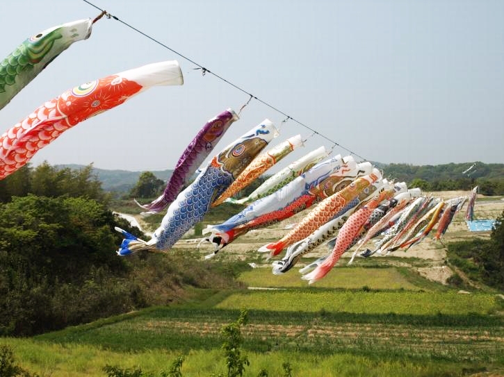 『菜の花と鯉のぼりの里まつり』　淡路市 [画像]