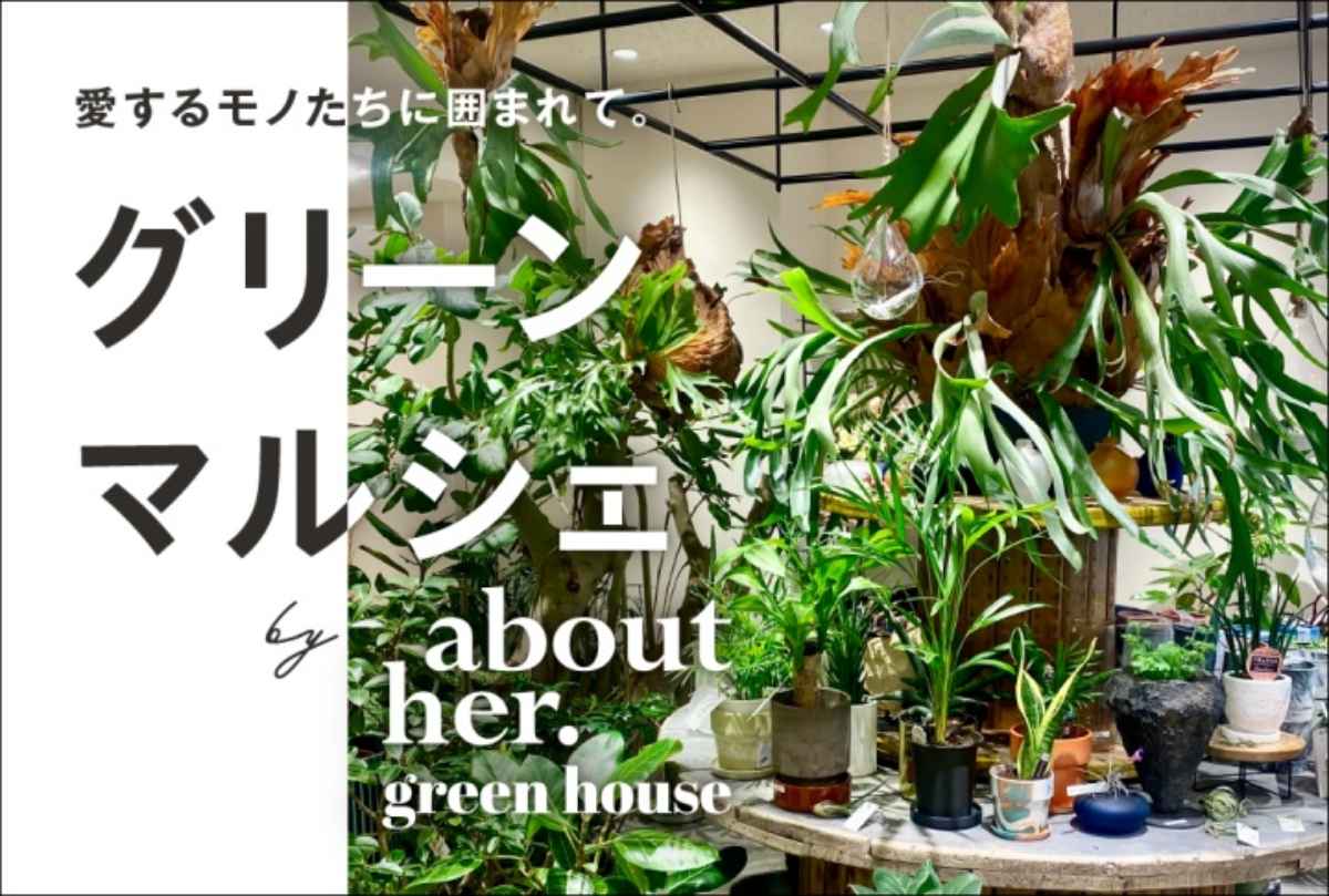神戸阪急で「グリーンマルシェ  by about her. green house」開催中　神戸市 [画像]