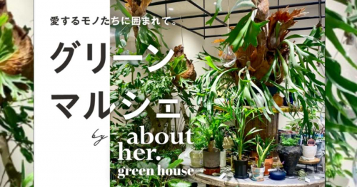 神戸阪急で「グリーンマルシェ  by about her. green house」開催中　神戸市