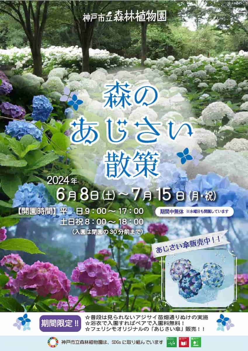 神戸市立森林植物園で「森のあじさい散策」開催　神戸市 [画像]