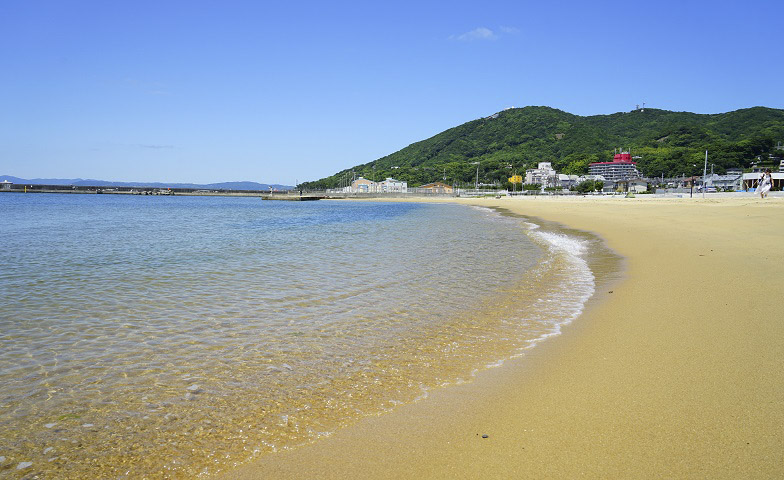 須磨海岸で「水槽レイアウト体験～須磨海岸の生き物で水槽を彩ろう～」開催　神戸市 [画像]