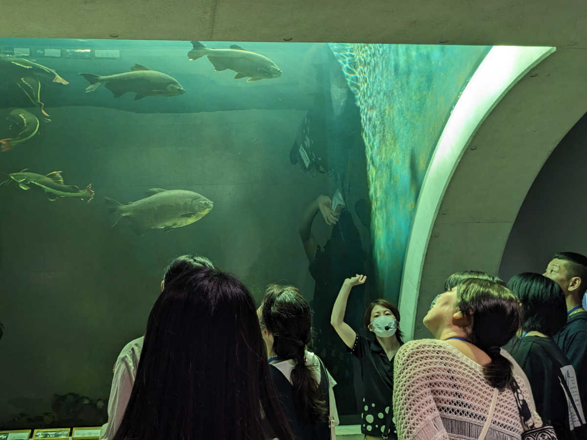 AQUARIUM×ART átoa （アトア）で平日限定の団体向け「朝ツアー」の申し込みがスタート　神戸市 [画像]