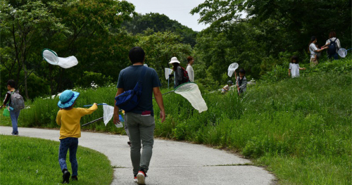 あいな里山公園で「6月の特別イベント」開催　神戸市