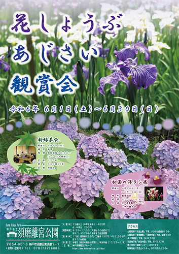 神戸市立須磨離宮公園で「花しょうぶあじさい観賞会」開催　神戸市 [画像]