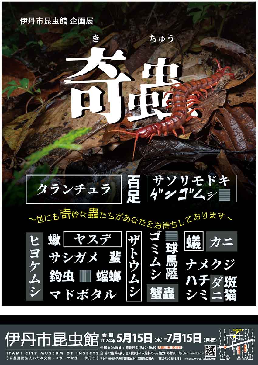 伊丹市昆虫館で企画展「奇蟲（きちゅう）」開催中　伊丹市 [画像]