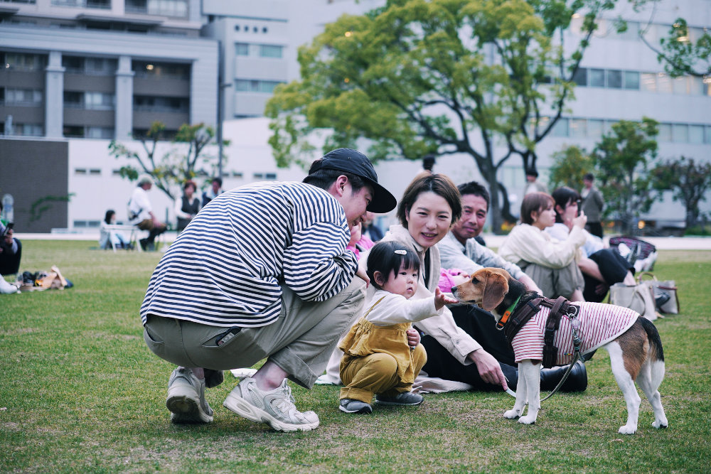 三宮・東遊園地で「NIGHT PICNIC June 2024」開催　神戸市 [画像]