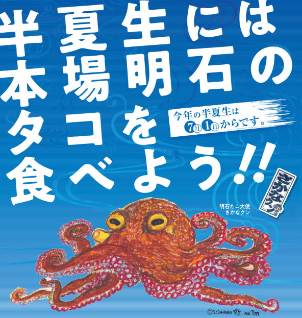 「2024年明石半夏生たこまつり」開催　明石市 [画像]