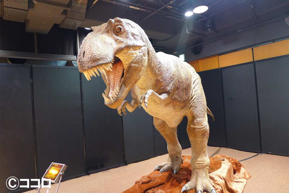 丹波竜化石工房で夏期特別展「BIGs 〜丹波竜と竜脚類の進化〜」開催　丹波市 [画像]