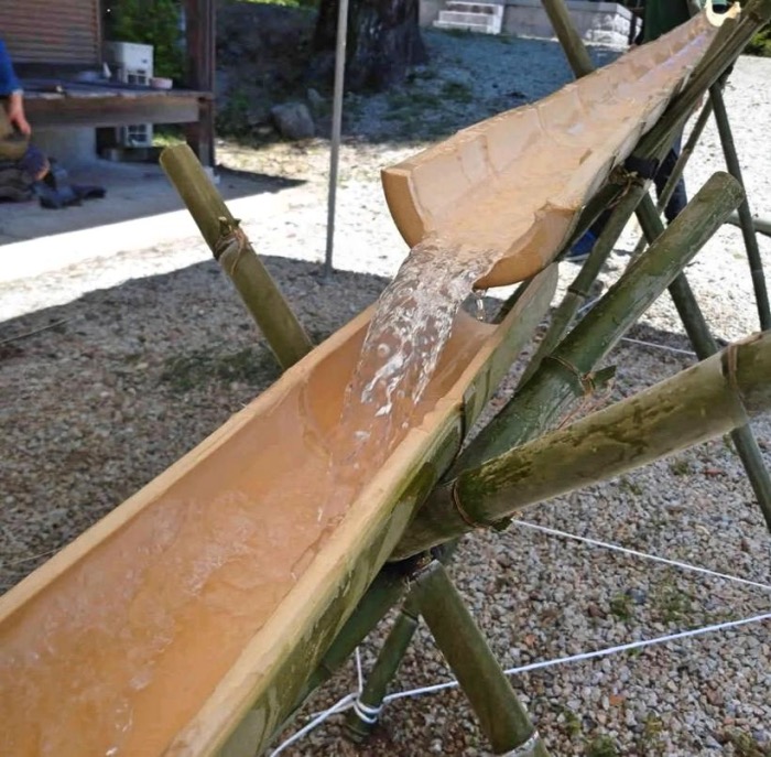 聖徳寺に隣接する竹林から切り出して組み立てられた「流しそうめん」用の竹（写真：EGS公式Instagram）