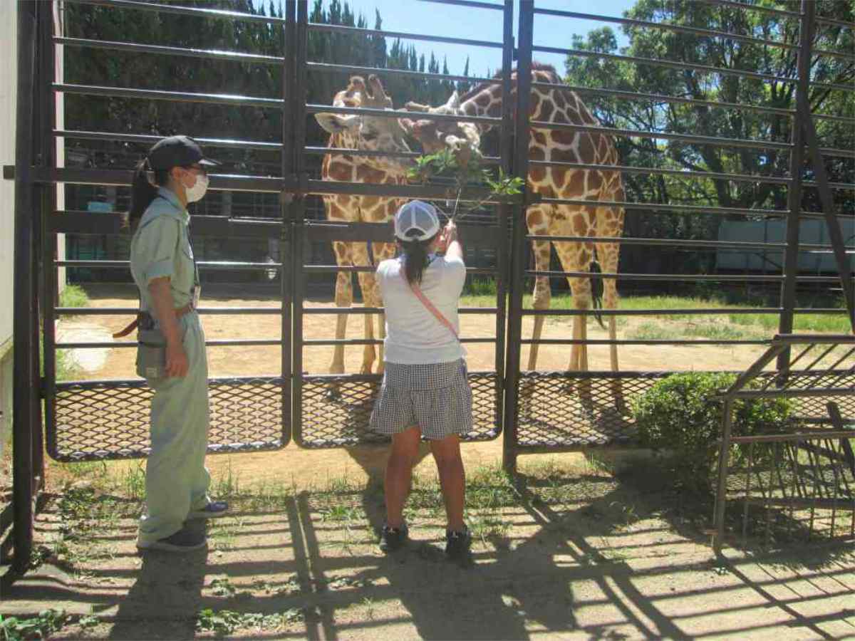 姫路市立動物園で「動物園ウォークラリー」開催　姫路市 [画像]