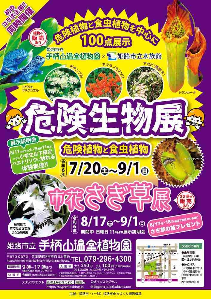 手柄山温室植物園で「危険生物展」開催　姫路市 [画像]