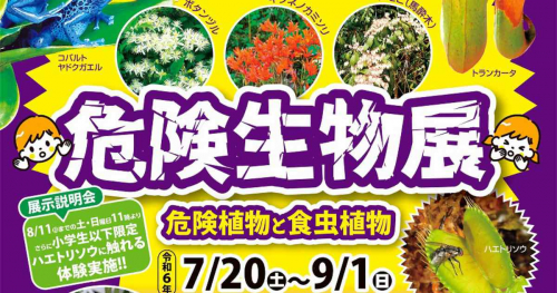 手柄山温室植物園で「危険生物展」開催　姫路市
