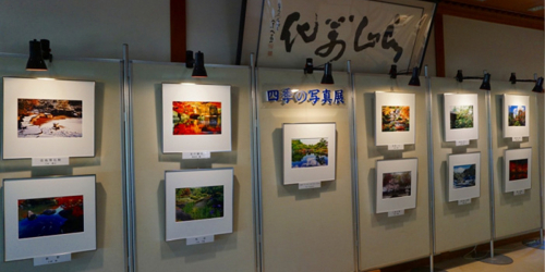 好古園「四季の写真展」姫路市