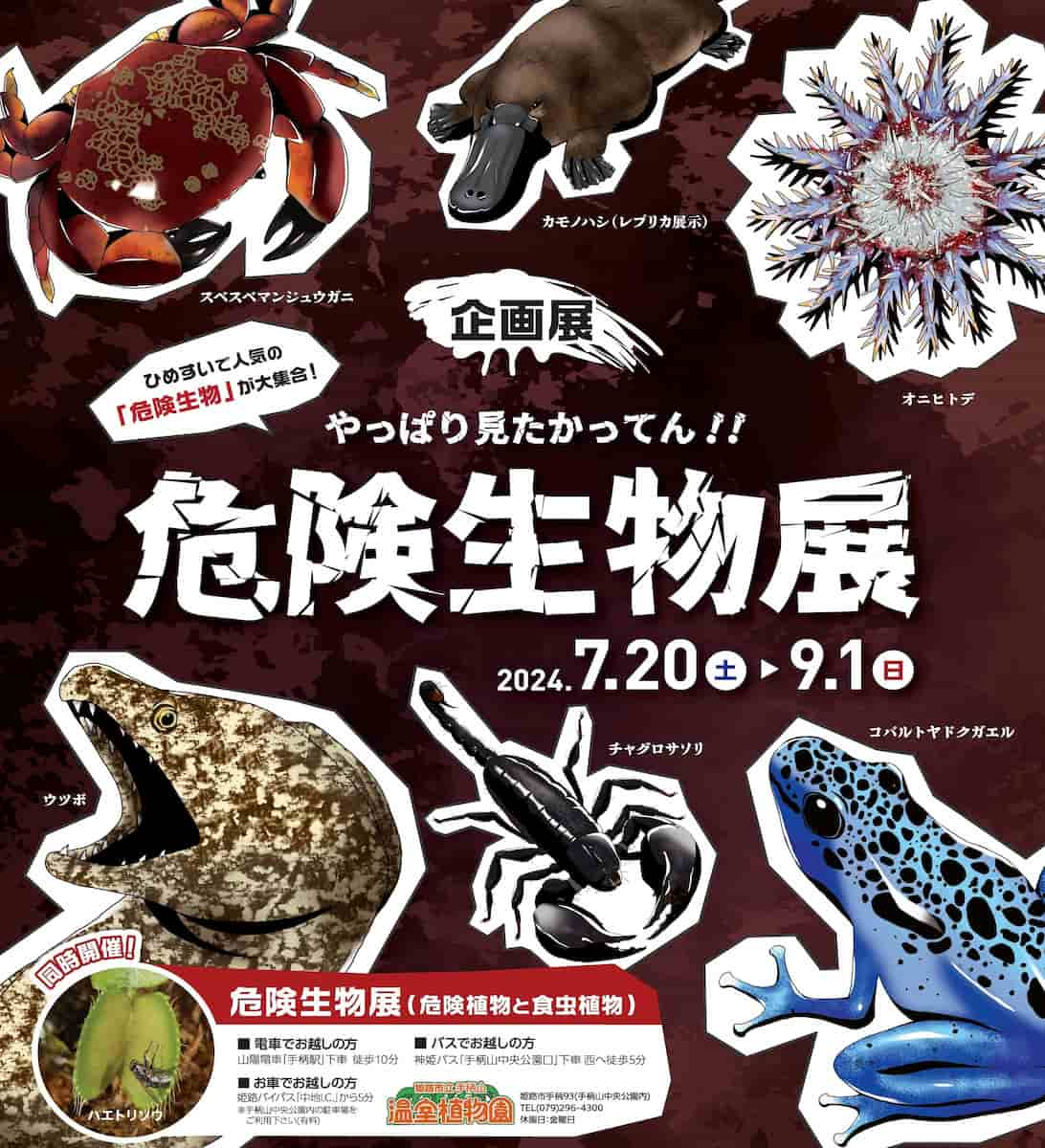 姫路市立水族館　企画展「やっぱり見たかってん！！危険生物展」開催 [画像]