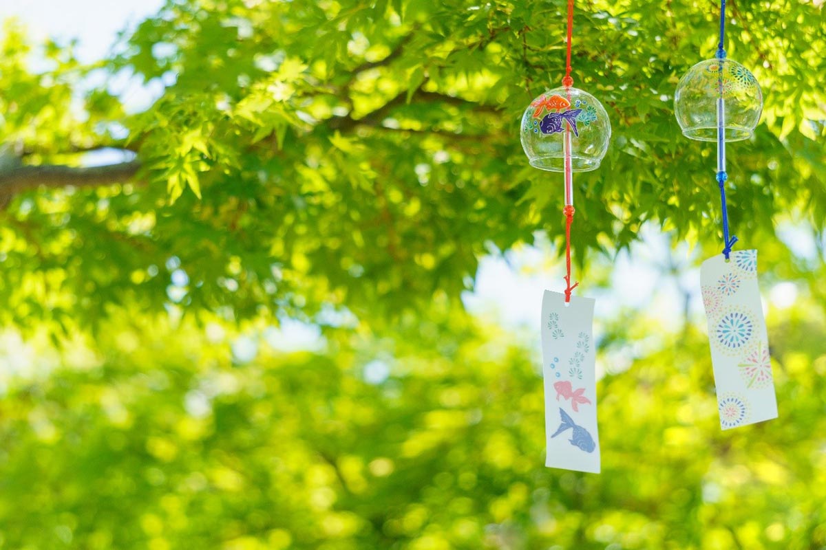 ザ・ガーデン・プレイス蘇州園が“日本の夏”をテーマに飲み放題で楽しめる「サマーフェスタ」を開催　神戸市 [画像]