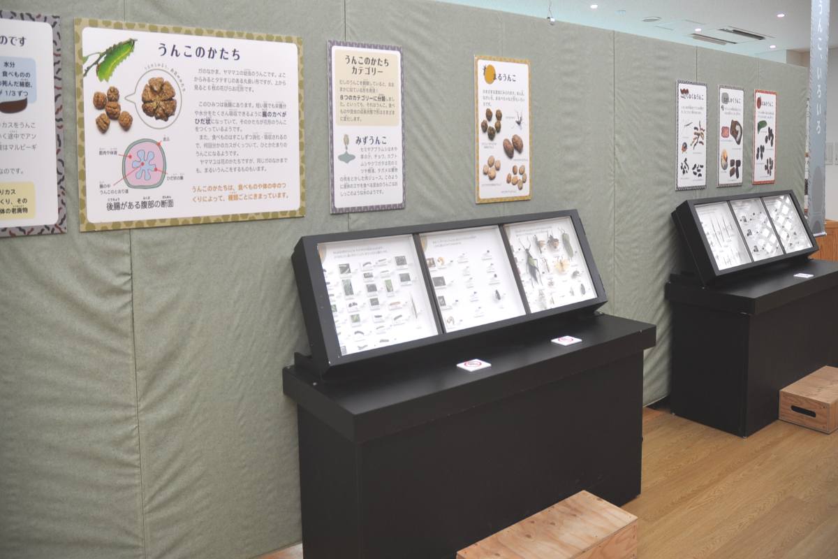 丹波市立氷上回廊水分れフィールドミュージアムで「むしのうんこ展」開催　丹波市 [画像]