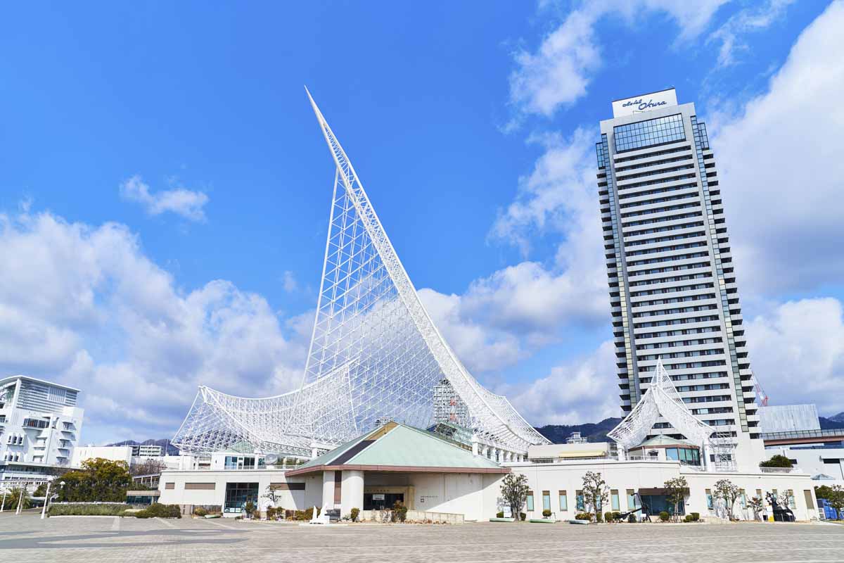 神戸海洋博物館で企画展「リブロック in カイハク」開催　神戸市 [画像]
