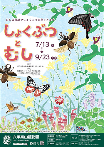 六甲高山植物園で伊丹市昆虫館とのコラボイベント「しょくぶつとむし」開催中　神戸市 [画像]