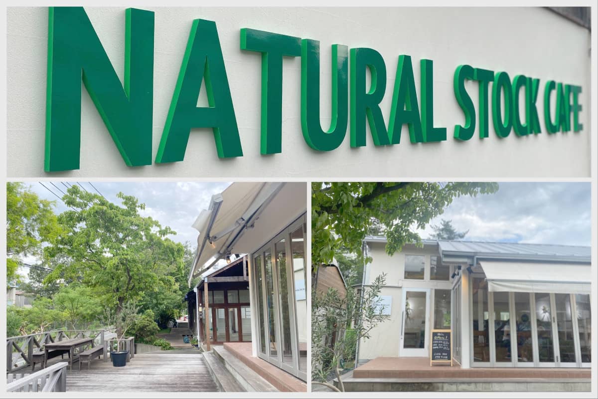 阪急苦楽園口『NATURAL STOCK CAFE KURAKUEN（ナチュラルストックカフェ）』のフレッシュパインのかき氷　西宮市 [画像]