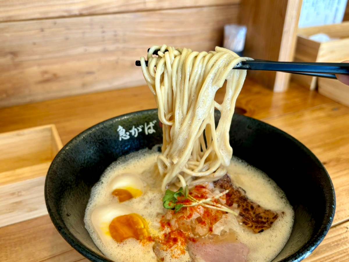 大石にある『中華そば 急がば啜れ』で夏季限定麺「冷やしスパイス担々麺」を実食　神戸市 [画像]