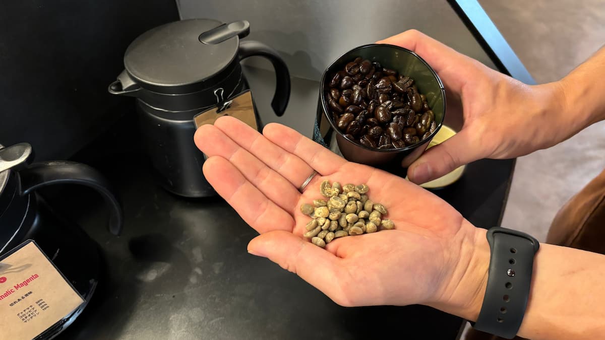 焙煎する前のコーヒー豆と焙煎後のコーヒー豆