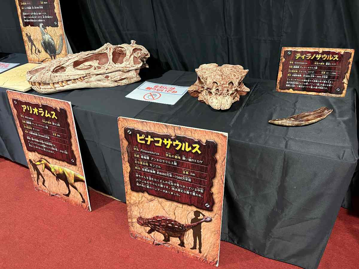 神戸国際会館こくさいホールでリアル恐竜ショー「恐竜パーク」開催　神戸市 [画像]