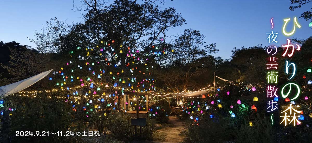 ROKKO 森の音ミュージアムと六甲高山植物園で「ひかりの森～夜の芸術散歩～」開催　神戸市 [画像]