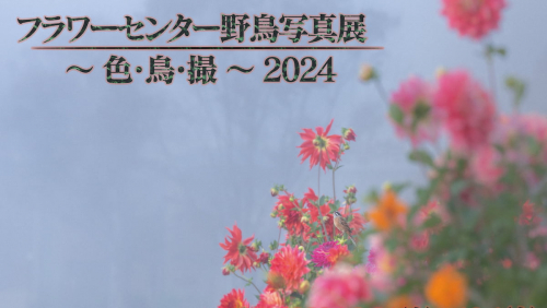 兵庫県立フラワーセンターで「フラワーセンター野鳥写真展」開催　加西市