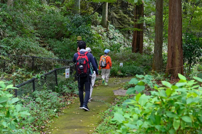 箕岡公園などで「まや山ファミリーアドベンチャー」開催　神戸市 [画像]