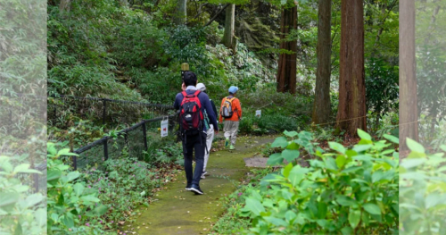 箕岡公園などで「まや山ファミリーアドベンチャー」開催　神戸市