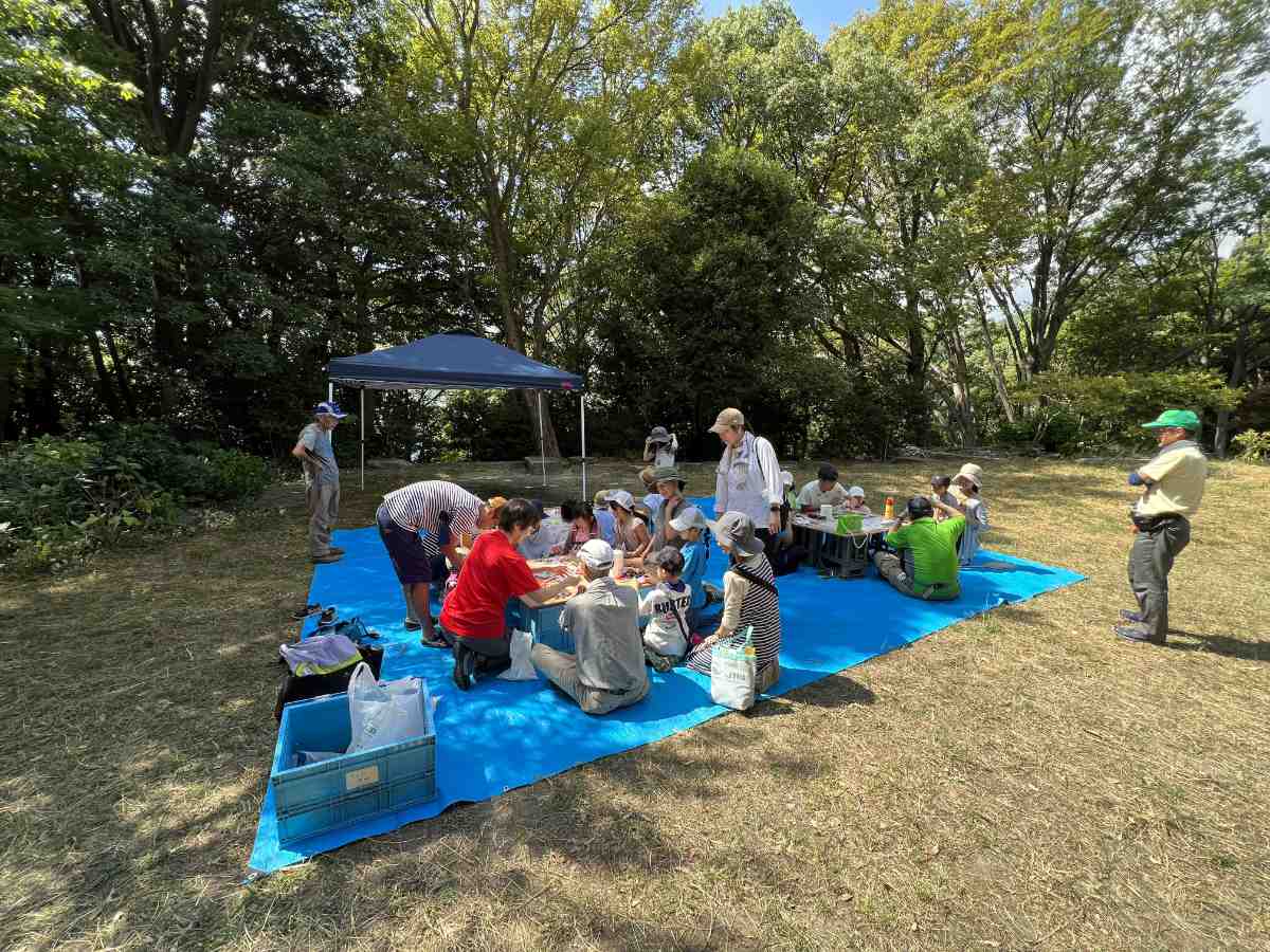 保久良夢ひろばで「保久良夢ひろば秋のてふてふまつり」開催　神戸市 [画像]