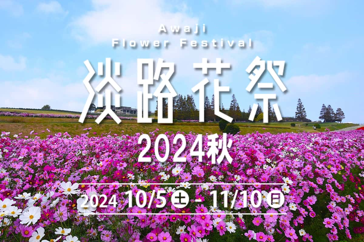 コスモスなどの花咲き誇る淡路島の秋を讃える「淡路花祭2024秋」 淡路市など [画像]