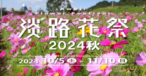 コスモスなどの花咲き誇る淡路島の秋を讃える「淡路花祭2024秋」