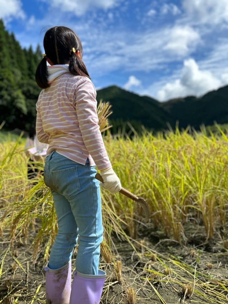 名水の町・神河町で「稲刈り体験」開催 [画像]