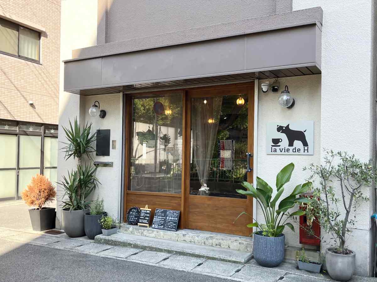 念願のドッグカフェデビュー！『la vie de H（ラヴィド アッシュ）』でランチとプリン♡ 神戸市 [画像]