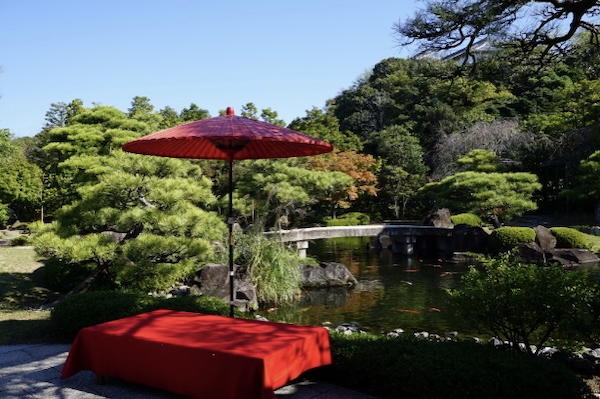 姫路城を望む日本庭園にて気軽に茶道体験 好古園「秋の大茶の湯」 姫路市 [画像]