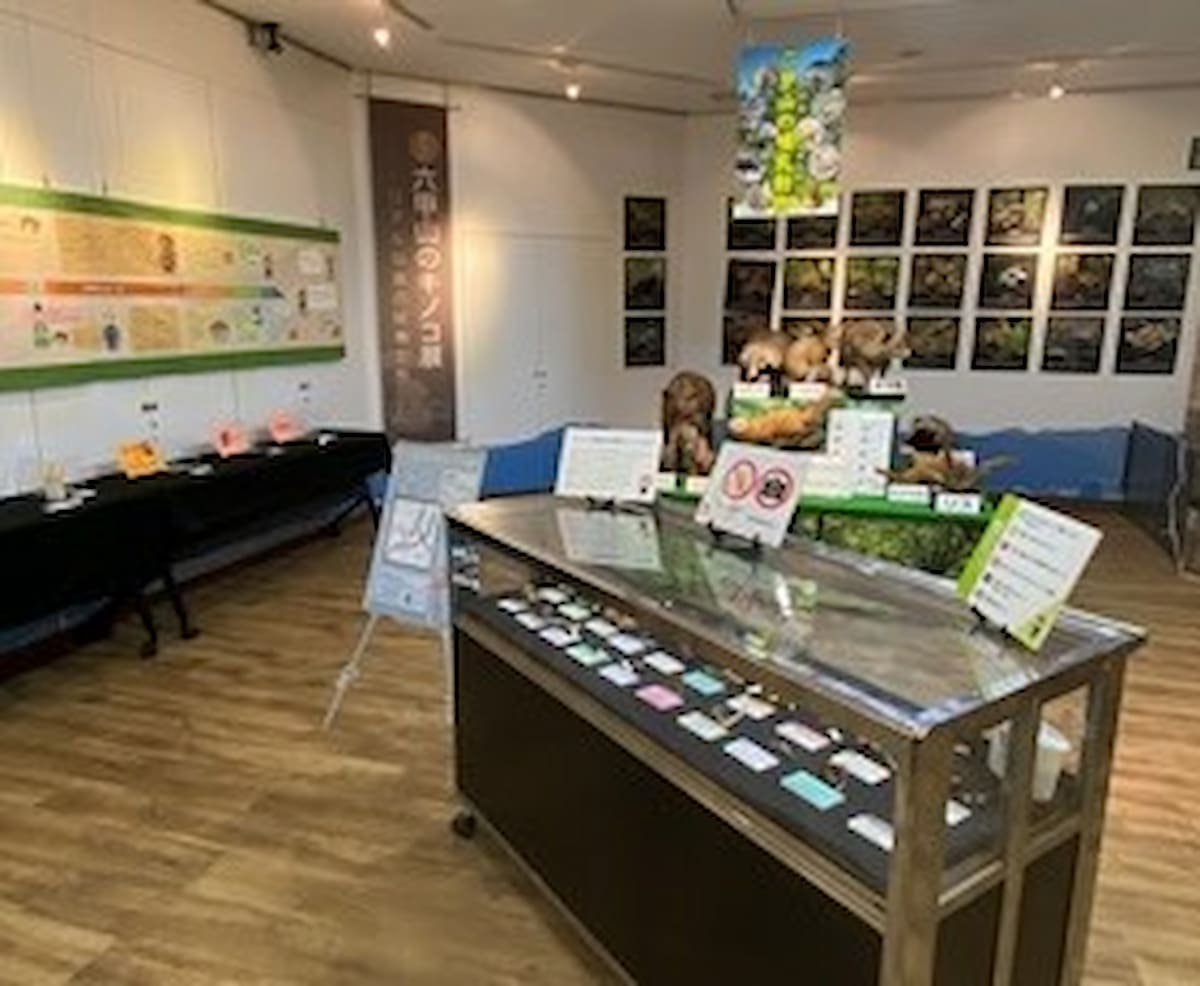 ”毒”キノコがテーマの展示も…！六甲山ビジターセンターで「キノコ展」開催 神戸市 [画像]