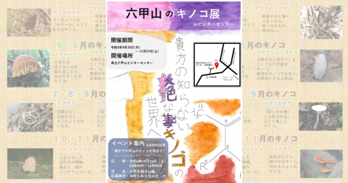 ”毒”キノコがテーマの展示も…！六甲山ビジターセンターで「キノコ展」開催