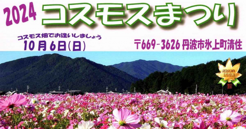 6種類・約500万本のコスモスが観賞できる♡「2024清住コスモスまつり」