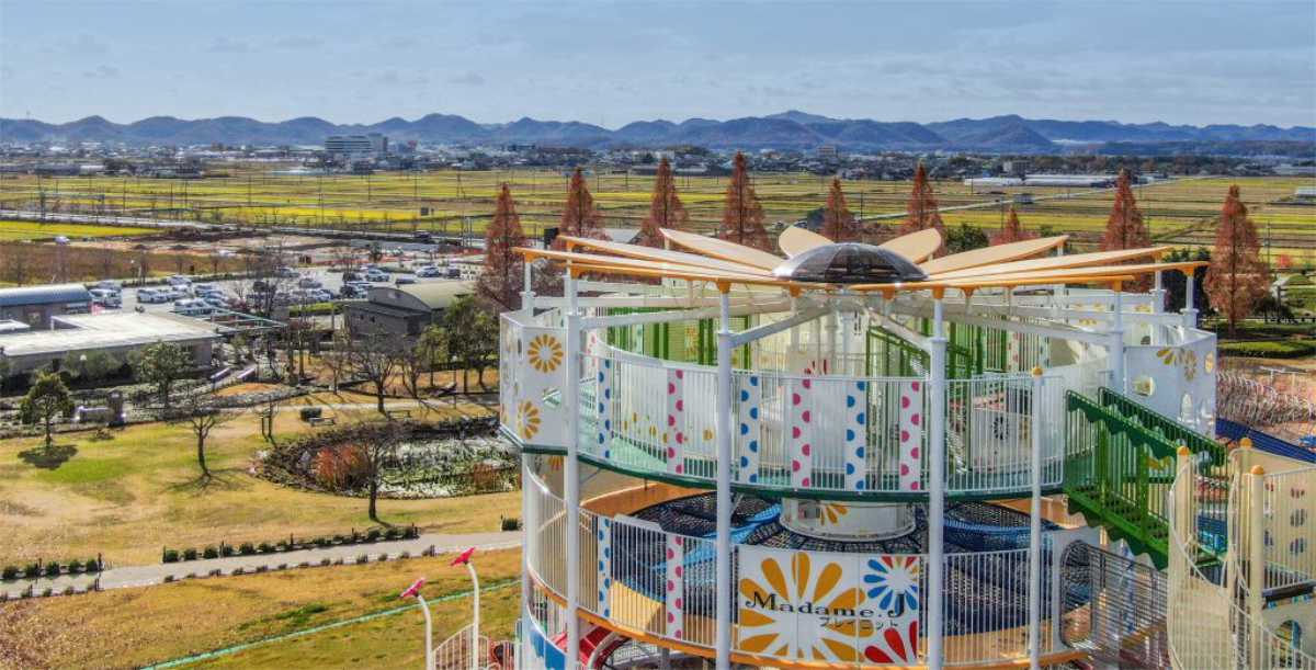 お楽しみの切り花プレゼントも！ひまわりの丘公園「コスモス畑」見ごろ近づく 小野市 [画像]