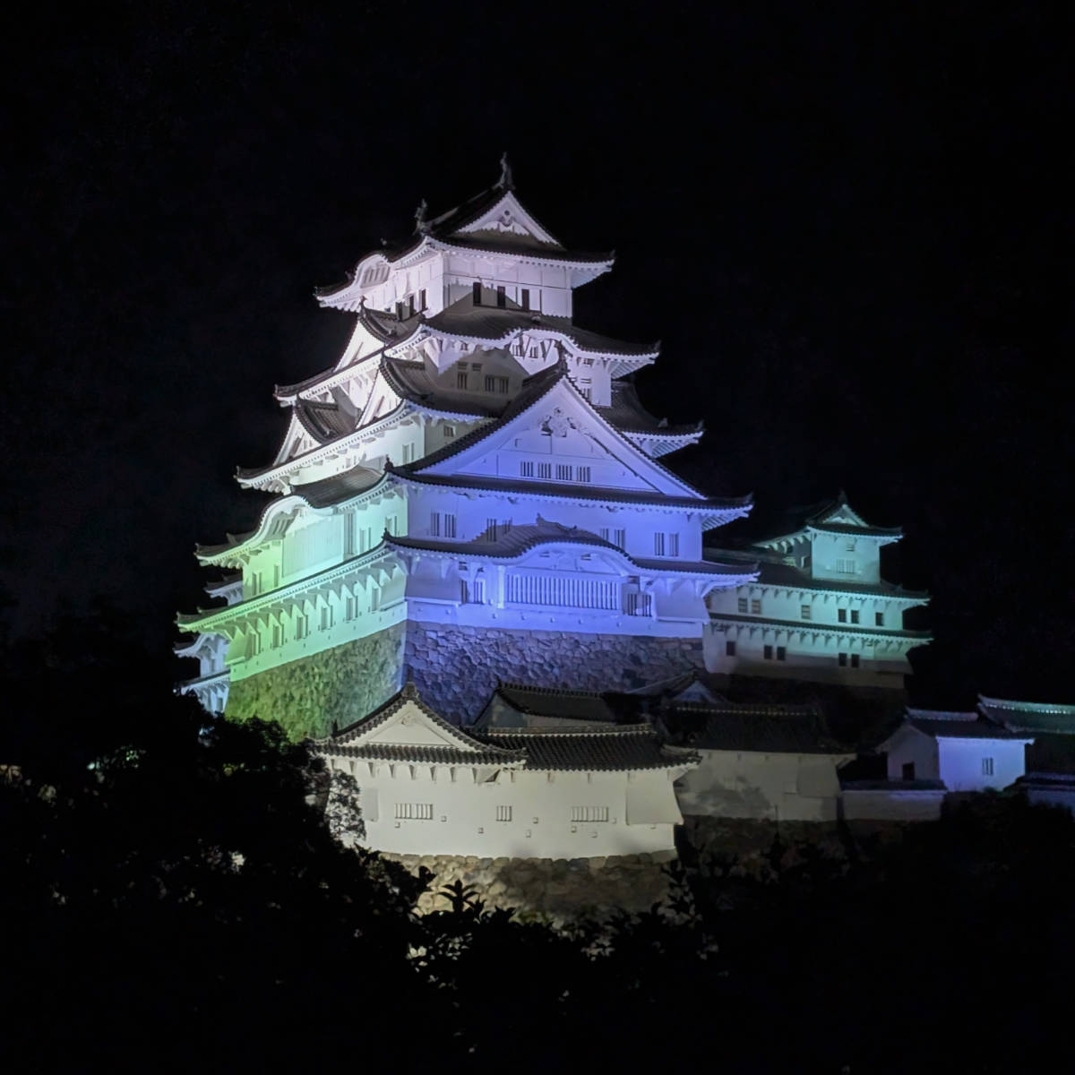 「霧」と「光」の共演！姫路市立美術館で「庭園夜間解放」開催中 姫路市 [画像]