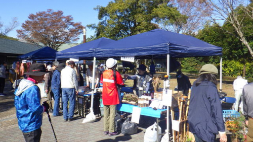 「どんぐり」を使った工作など 三木山森林公園で子どもと一緒に自然の魅力に触れる体験を