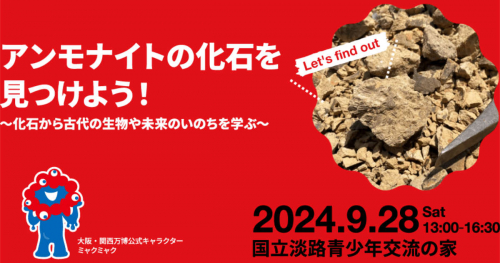 地質調査や化石発見！淡路青少年交流の家で「アンモナイト発掘ツアー」開催