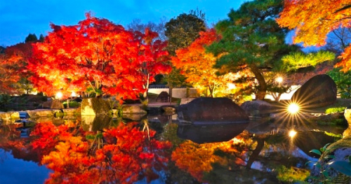 好古園で楽しむ秋の「紅葉会」ライトアップ夜間営業も実施