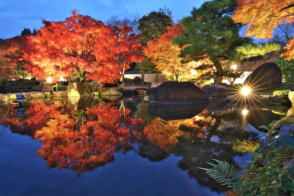 好古園で楽しむ秋の「紅葉会」ライトアップ夜間営業も実施 姫路市 [画像]