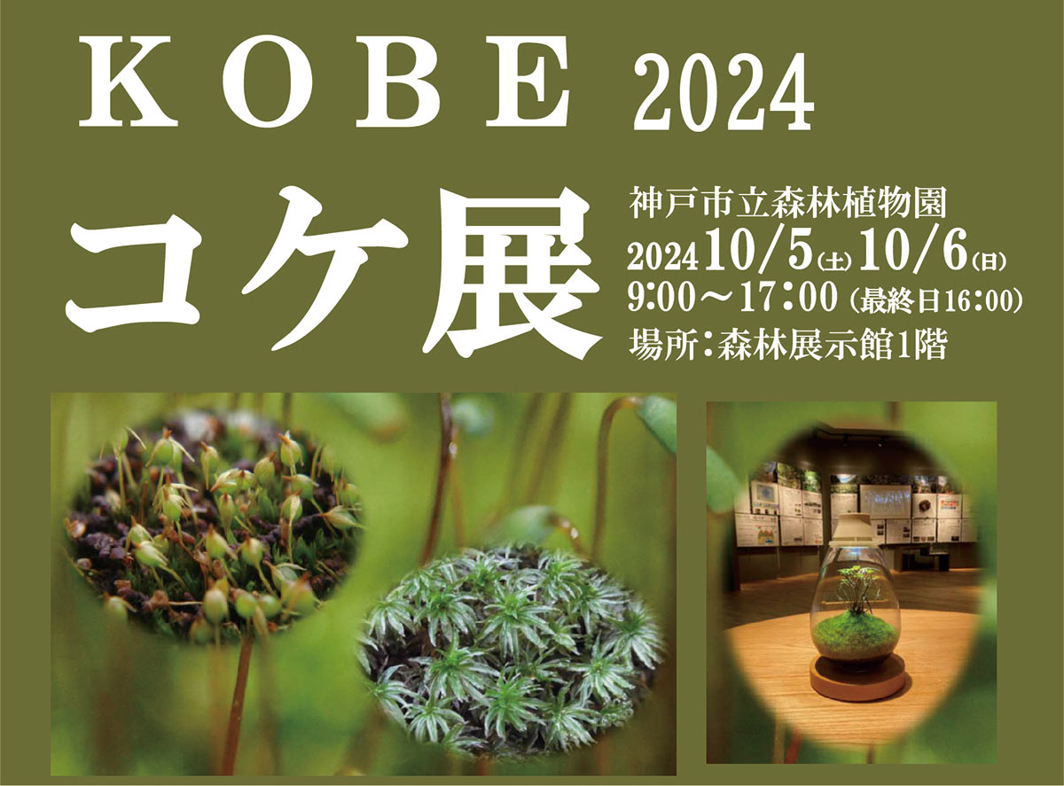 神戸市立森林植物園「KOBEコケ展2024」コケの奥深い世界にあなたを誘う企画展 神戸市 [画像]