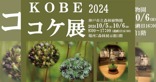 神戸市立森林植物園「KOBEコケ展2024」コケの奥深い世界にあなたを誘う企画展