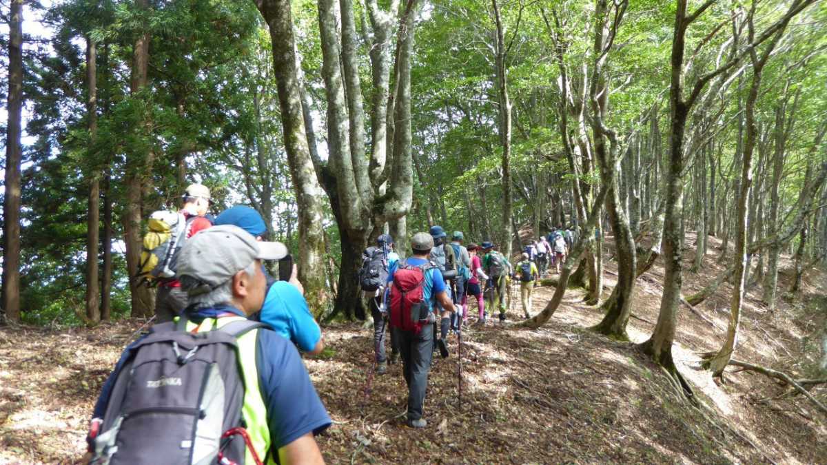 香美町の四名山をめぐる登山イベント「山岳縦走」開催 香美町 [画像]