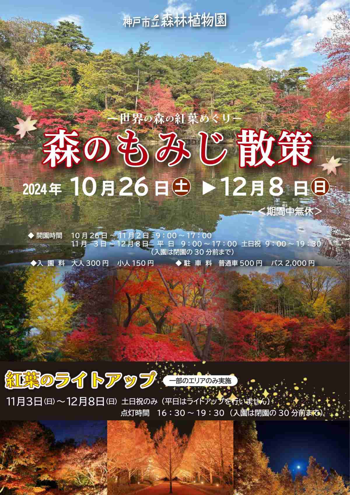 世界の森の紅葉を楽しもう！神戸市立森林植物園で「森のもみじ散策」 神戸市 [画像]