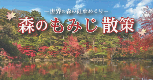 世界の森の紅葉を楽しもう！神戸市立森林植物園で「森のもみじ散策」